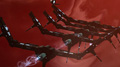 EVE Online screenshot