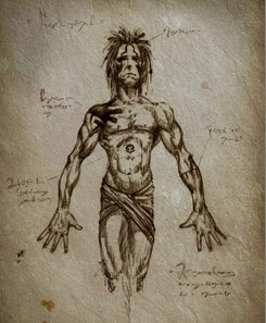 Schematic of reserved areas on the body